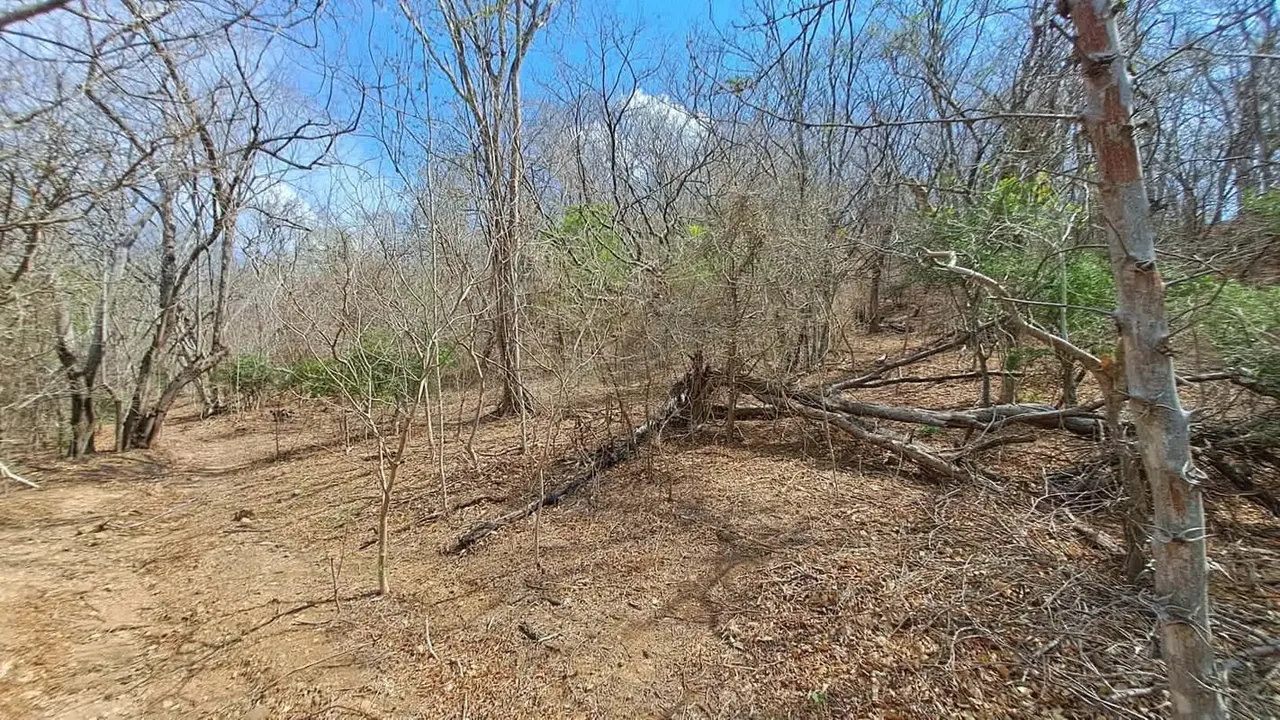 LOTE EN VENTA 1500 m2. RECTANGULAR. CERCA DE PLAYA., photo 6