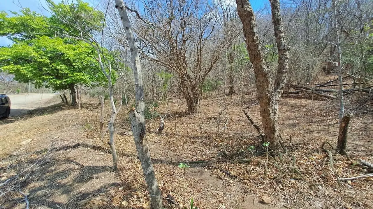 LOTE EN VENTA 1500 m2. RECTANGULAR. CERCA DE PLAYA., photo 7