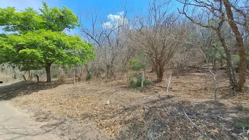 LOTE EN VENTA 1500 m2. RECTANGULAR. CERCA DE PLAYA., photo 8