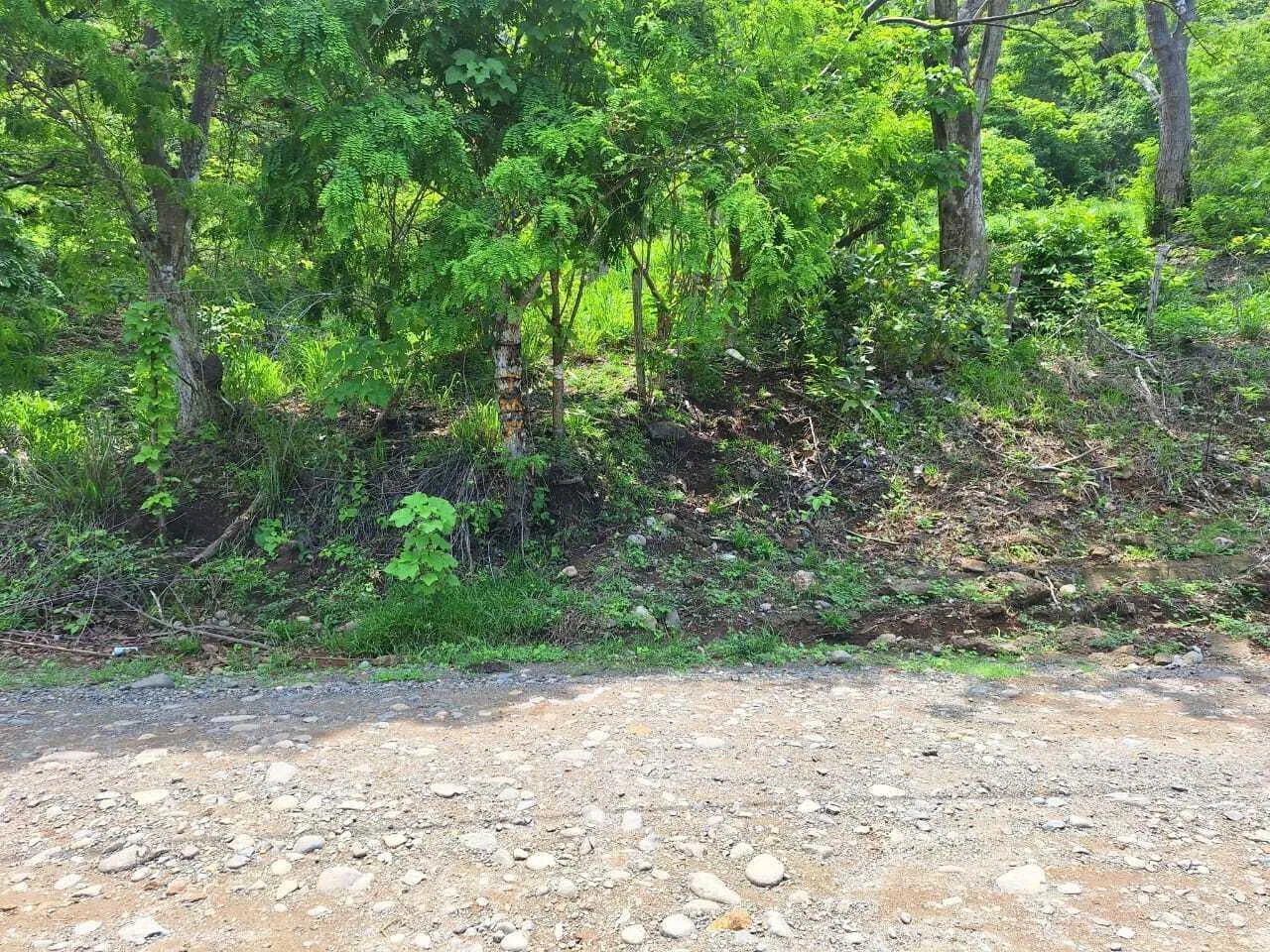 Lote en Venta en Barranca ,Puntarenas, photo 6