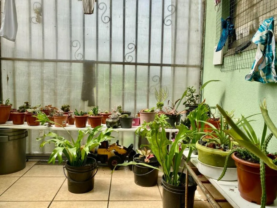 Venta de Casa en Cinco Esquinas, Tîbas. RAH 25-1439 - Venta en Tibás, photo 7