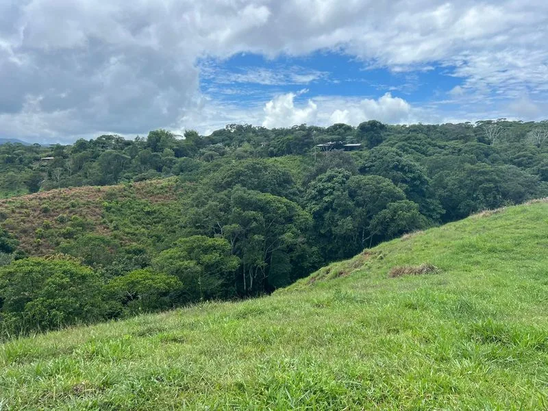 Land For Sale in Perez Zeledon, photo 2