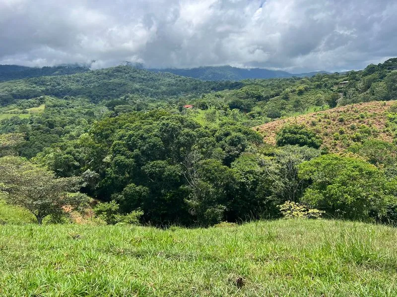 Land For Sale in Perez Zeledon, photo 11