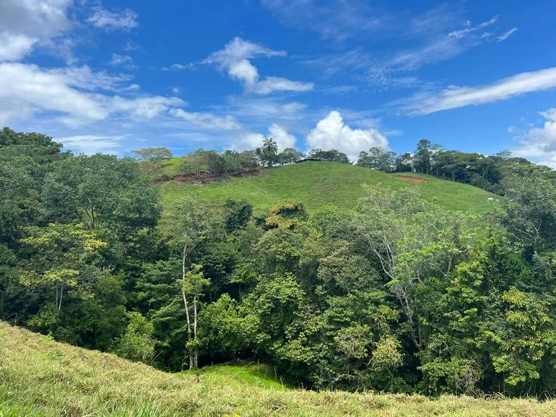 Land For Sale in Perez Zeledon, photo 12