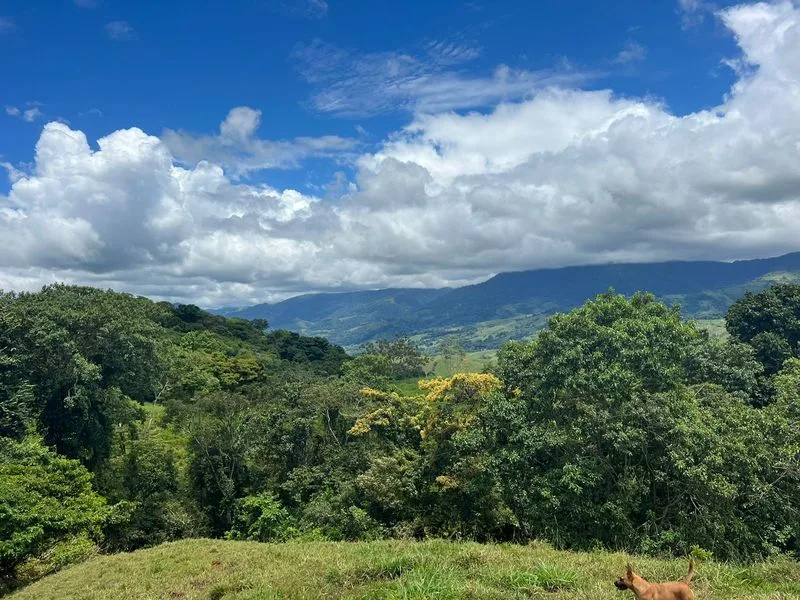 Land For Sale in Perez Zeledon, photo 13