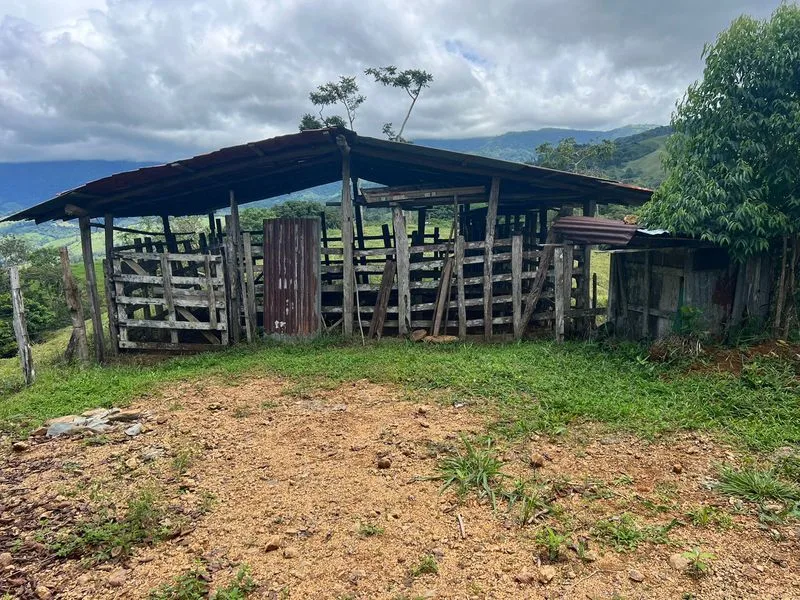 Land For Sale in Perez Zeledon, photo 14