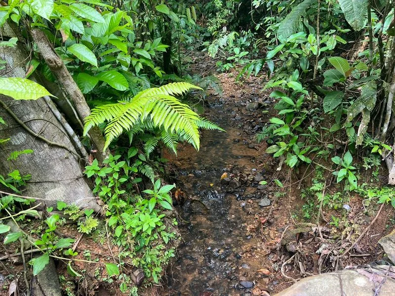 Land For Sale in Perez Zeledon, photo 15