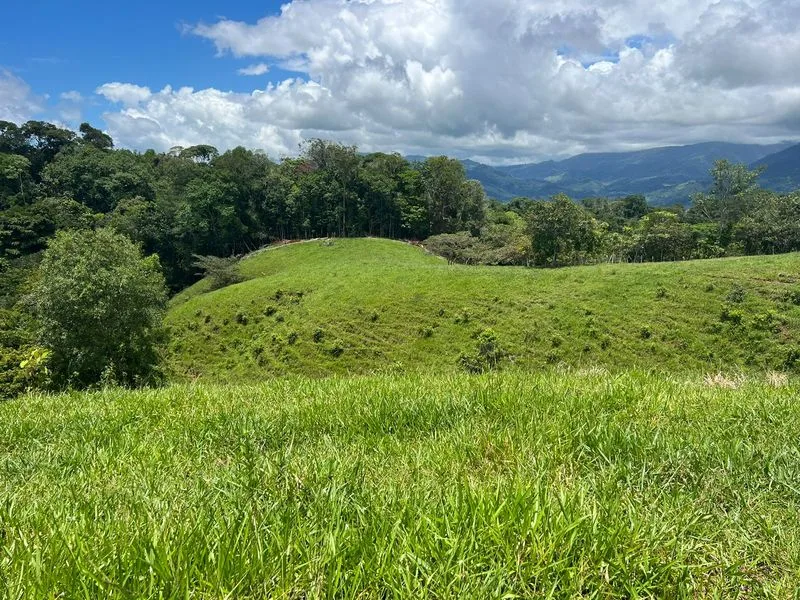 Land For Sale in Perez Zeledon, photo 5