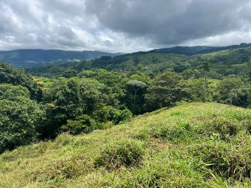 Land For Sale in Perez Zeledon, photo 8