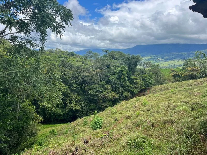 Land For Sale in Perez Zeledon, photo 9