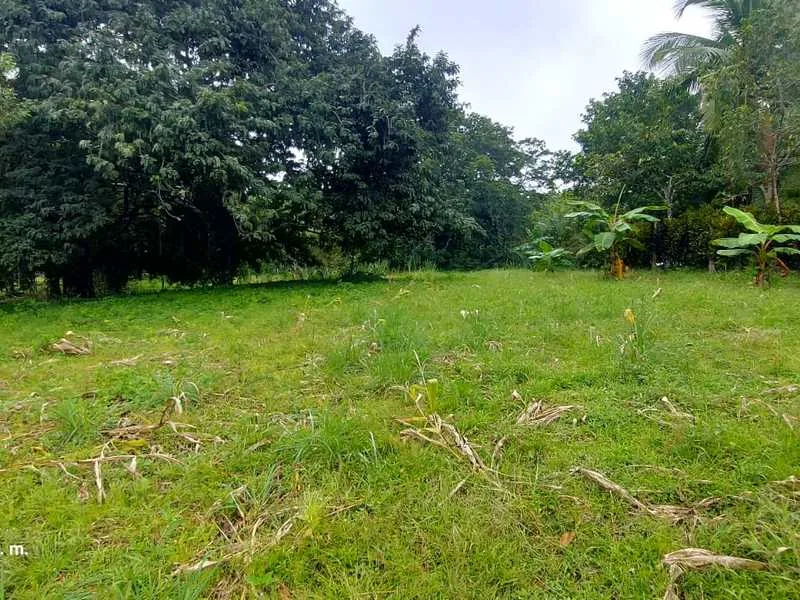Land For Sale in Delicias, photo 2