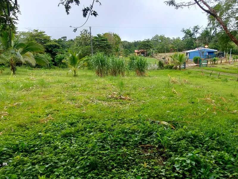 Land For Sale in Delicias, photo 5