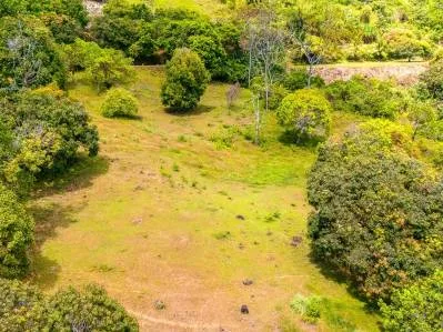 Large Private Lot in Ballena Views, Ojochal – Flat, Surrounded by Nature, and Close to All Amenities, photo 2