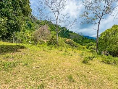 Large Private Lot in Ballena Views, Ojochal – Flat, Surrounded by Nature, and Close to All Amenities, photo 6