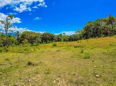 Large Private Lot in Ballena Views, Ojochal – Flat, Surrounded by Nature, and Close to All Amenities, photo 7
