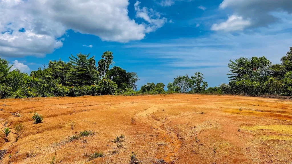 OCEAN VIEW PROPERTY WITH DEVELOPMENT POTENCIAL NEAR OJOCHAL, photo 11