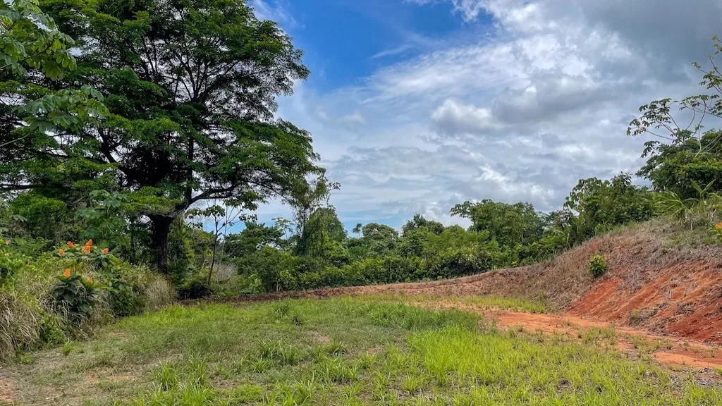 OCEAN VIEW PROPERTY WITH DEVELOPMENT POTENCIAL NEAR OJOCHAL, photo 14