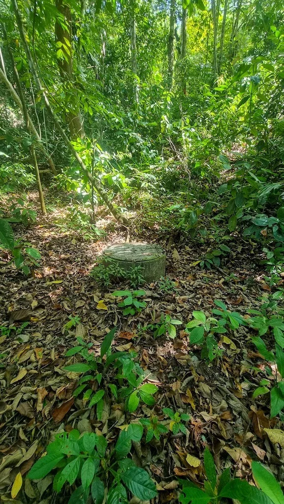 OCEAN VIEW PROPERTY WITH DEVELOPMENT POTENCIAL NEAR OJOCHAL, photo 18