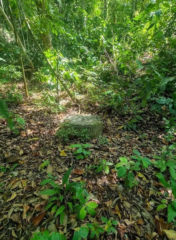 OCEAN VIEW PROPERTY WITH DEVELOPMENT POTENCIAL NEAR OJOCHAL, photo 19