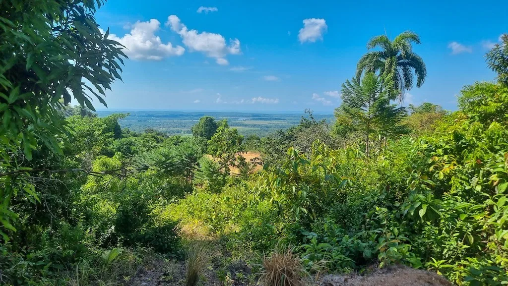 OCEAN VIEW PROPERTY WITH DEVELOPMENT POTENCIAL NEAR OJOCHAL, photo 3