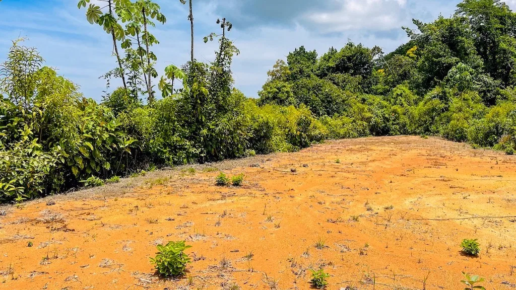 OCEAN VIEW PROPERTY WITH DEVELOPMENT POTENCIAL NEAR OJOCHAL, photo 10