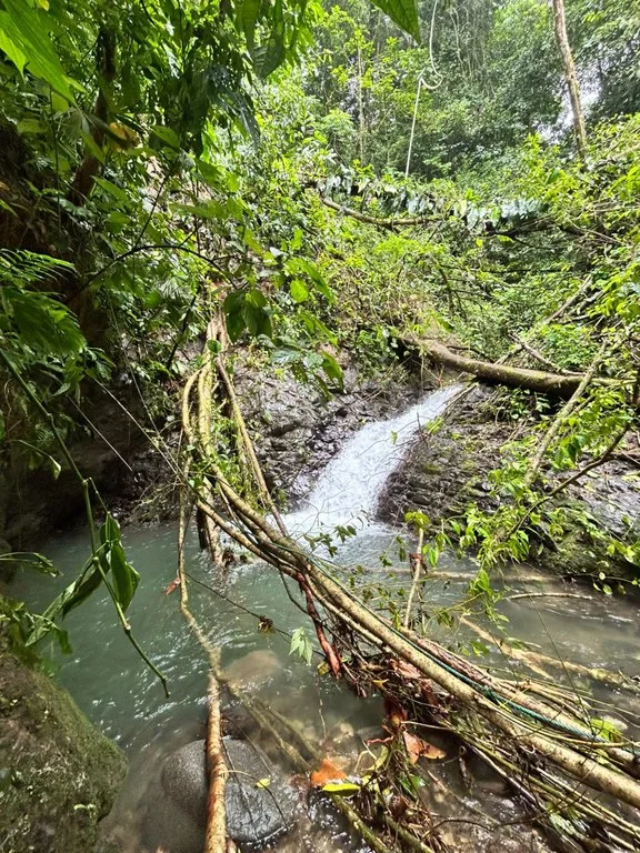 Finca Las Cataratas in Ballena: Mountain Home Construction Site For Sale in Bahía Ballena, photo 11