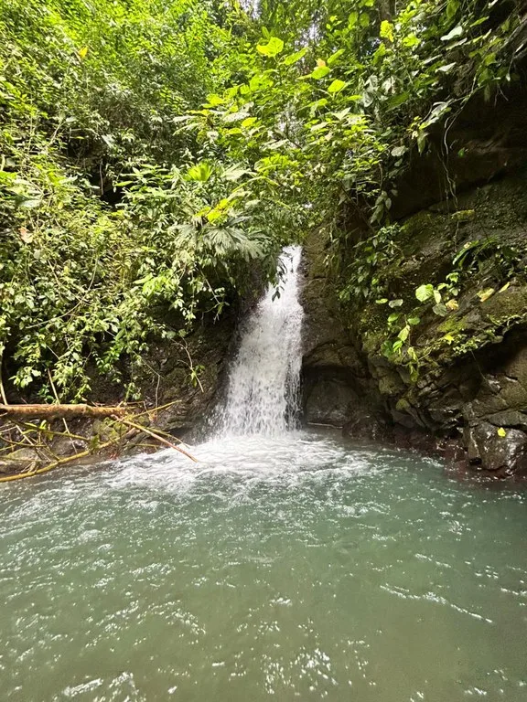 Finca Las Cataratas in Ballena: Mountain Home Construction Site For Sale in Bahía Ballena, photo 12