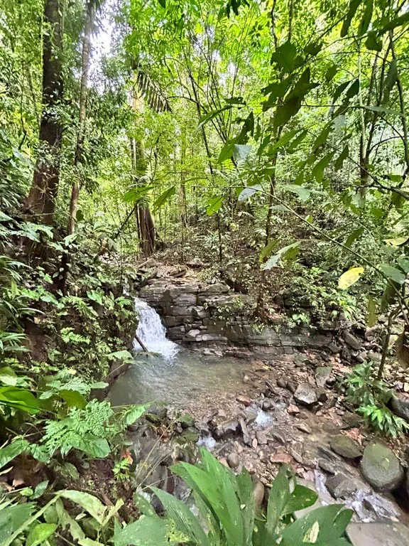 Finca Las Cataratas in Ballena: Mountain Home Construction Site For Sale in Bahía Ballena, photo 14