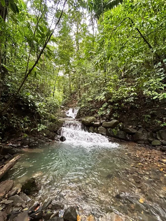Finca Las Cataratas in Ballena: Mountain Home Construction Site For Sale in Bahía Ballena, photo 15