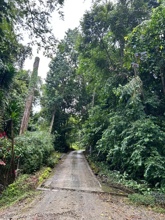 Finca Las Cataratas in Ballena: Mountain Home Construction Site For Sale in Bahía Ballena, photo 8