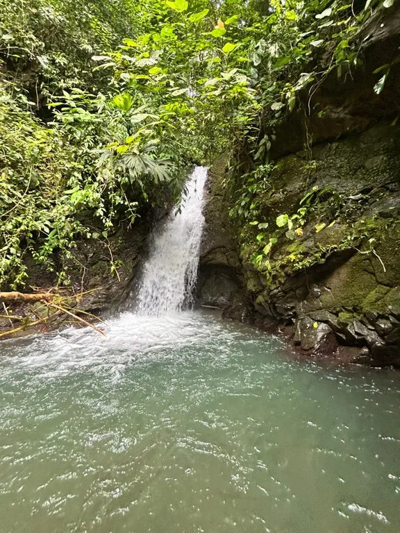 Finca Las Cataratas in Ballena: Mountain Home Construction Site For Sale in Bahía Ballena, photo 10
