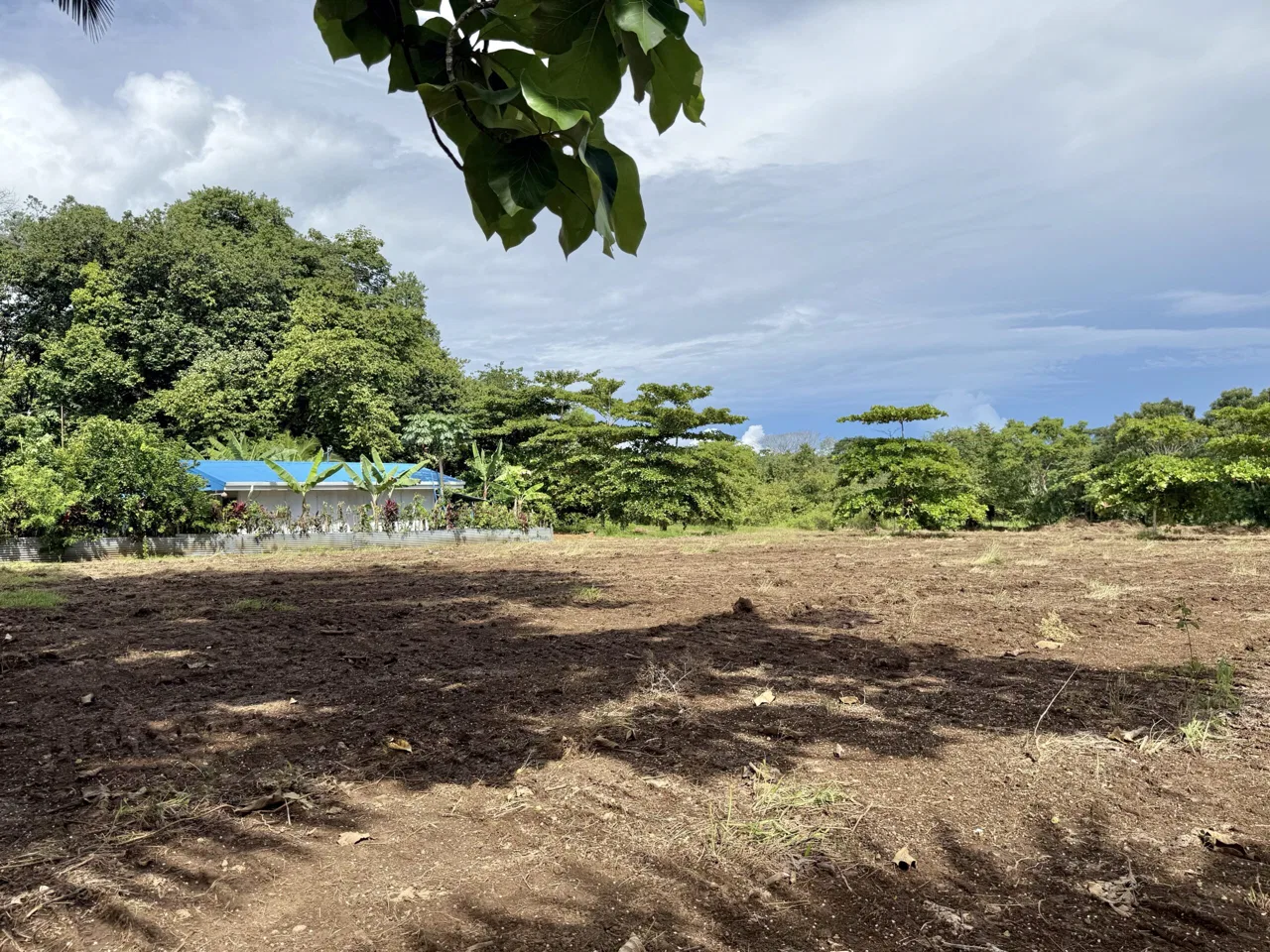 Titled Property for Sale in Pavones – Prime Location Near Pilon &amp; Amenities - REMAX Jungle Properties | Pavones Golfito Real Estate