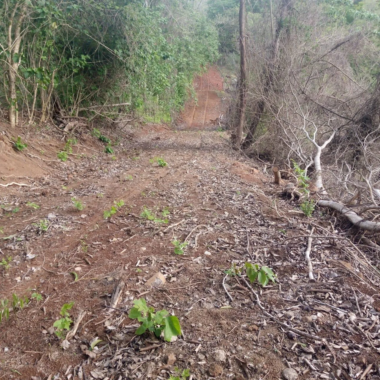 🌿 For Sale: Majestic 175-Hectare Property in San Juan de Mata, Turrubares 🌿, photo 11