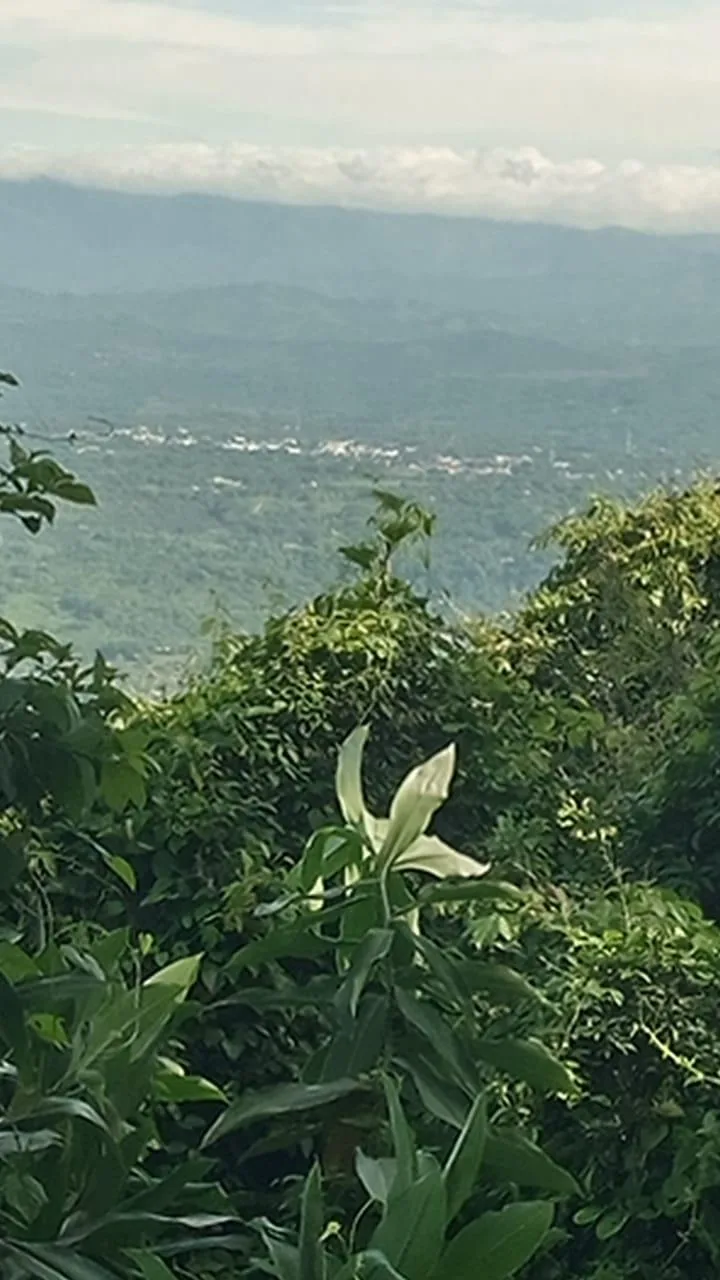 🌿 For Sale: Majestic 175-Hectare Property in San Juan de Mata, Turrubares 🌿, photo 13