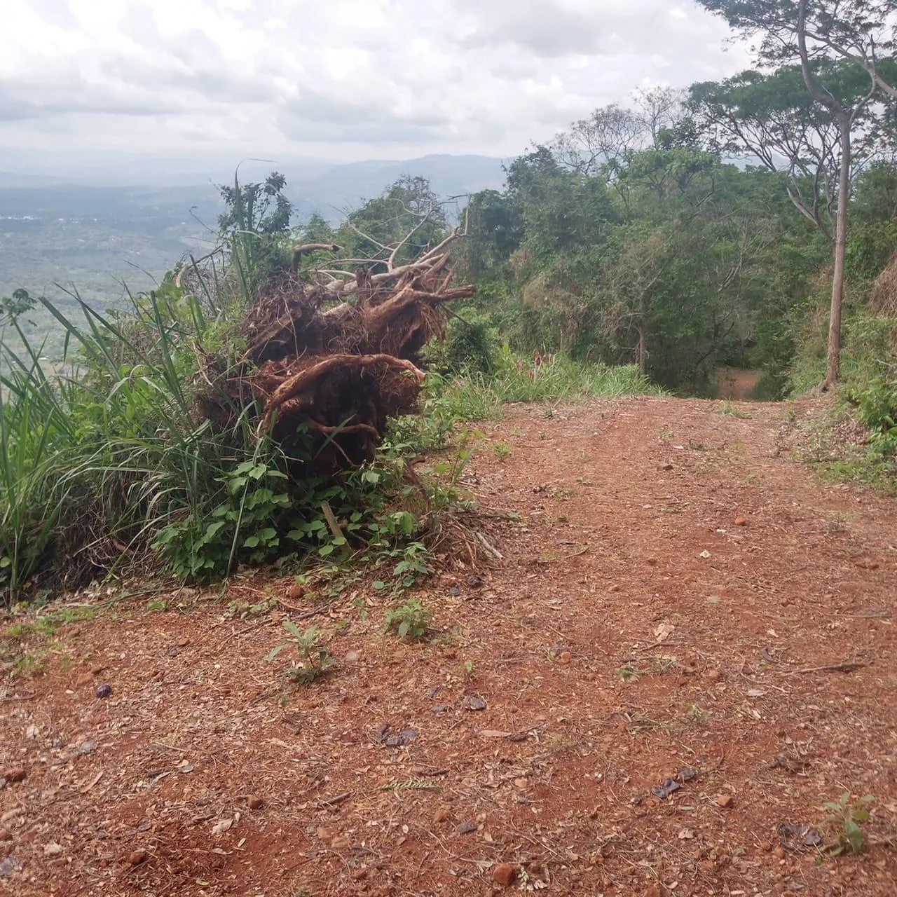 🌿 For Sale: Majestic 175-Hectare Property in San Juan de Mata, Turrubares 🌿, photo 6