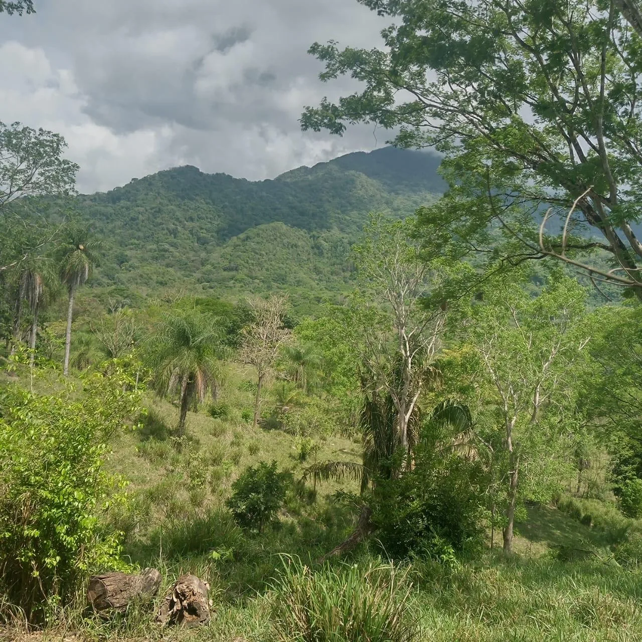 🌿 For Sale: Majestic 175-Hectare Property in San Juan de Mata, Turrubares 🌿, photo 8