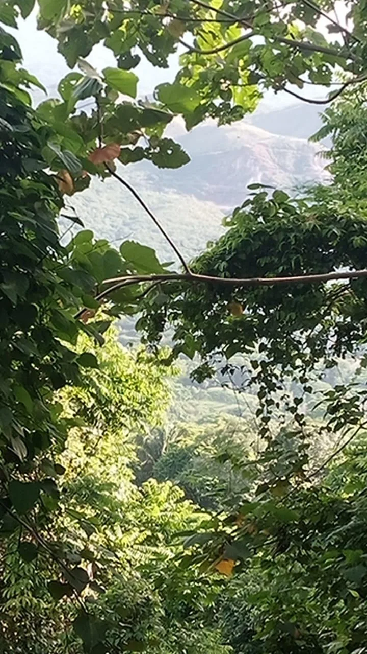 🌿 For Sale: Majestic 175-Hectare Property in San Juan de Mata, Turrubares 🌿, photo 9