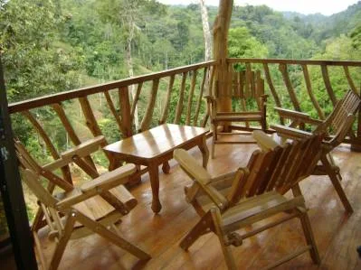 Finca Rainforest Ark a $ 1 el m2, photo 3