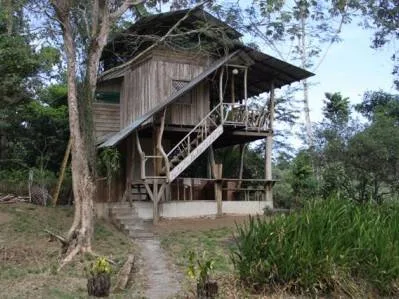 Finca Rainforest Ark a $ 1 el m2, photo 4