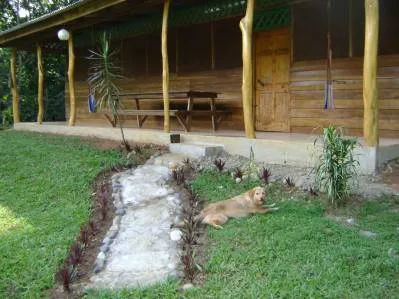Finca Rainforest Ark a $ 1 el m2, photo 5