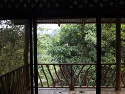 Finca Rainforest Ark a $ 1 el m2, photo 6