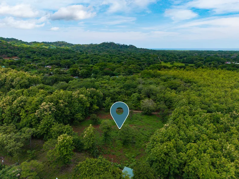 Land For Sale in San Jose De Pinilla, photo 6
