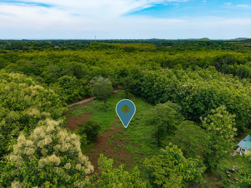 Land For Sale in San Jose De Pinilla, photo 8