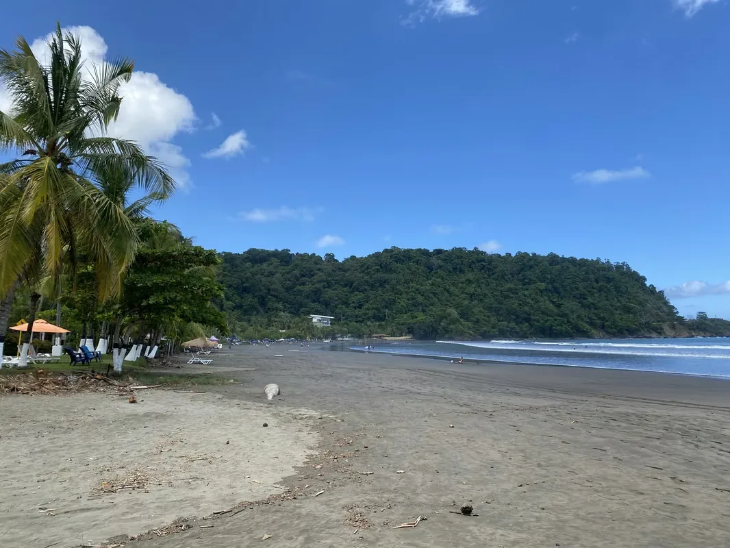 Condo apartment for sale in Jacó, photo 13