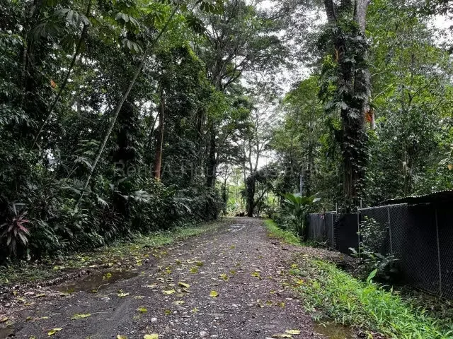RAH 27-662 Lote en venta en Puerto Viejo de Limón - 1.200 m² Excelente oportunidad para adquirir un amplio lote de 1.200 m² en Puerto Viejo de Limón, una de las zonas más ...