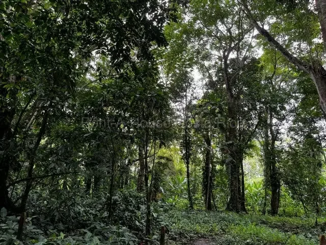 RAH 27-662 Lote en venta en Puerto Viejo de Limón - 1.200 m² Excelente oportunidad para adquirir un amplio lote de 1.200 m² en Puerto Viejo de Limón, una de las zonas más ..., photo 3