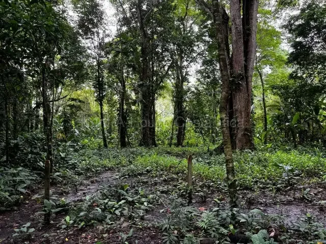 RAH 27-662 Lote en venta en Puerto Viejo de Limón - 1.200 m² Excelente oportunidad para adquirir un amplio lote de 1.200 m² en Puerto Viejo de Limón, una de las zonas más ..., photo 7