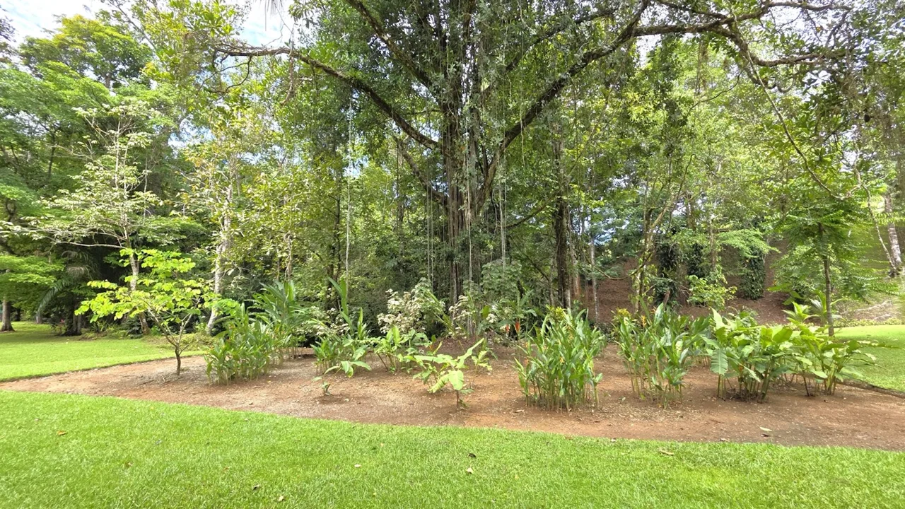 VILLA SHANTI: LUXURY JUNGLE RETREAT IN OJOCHAL, COSTA RICA – 1.17 ACRES, photo 21