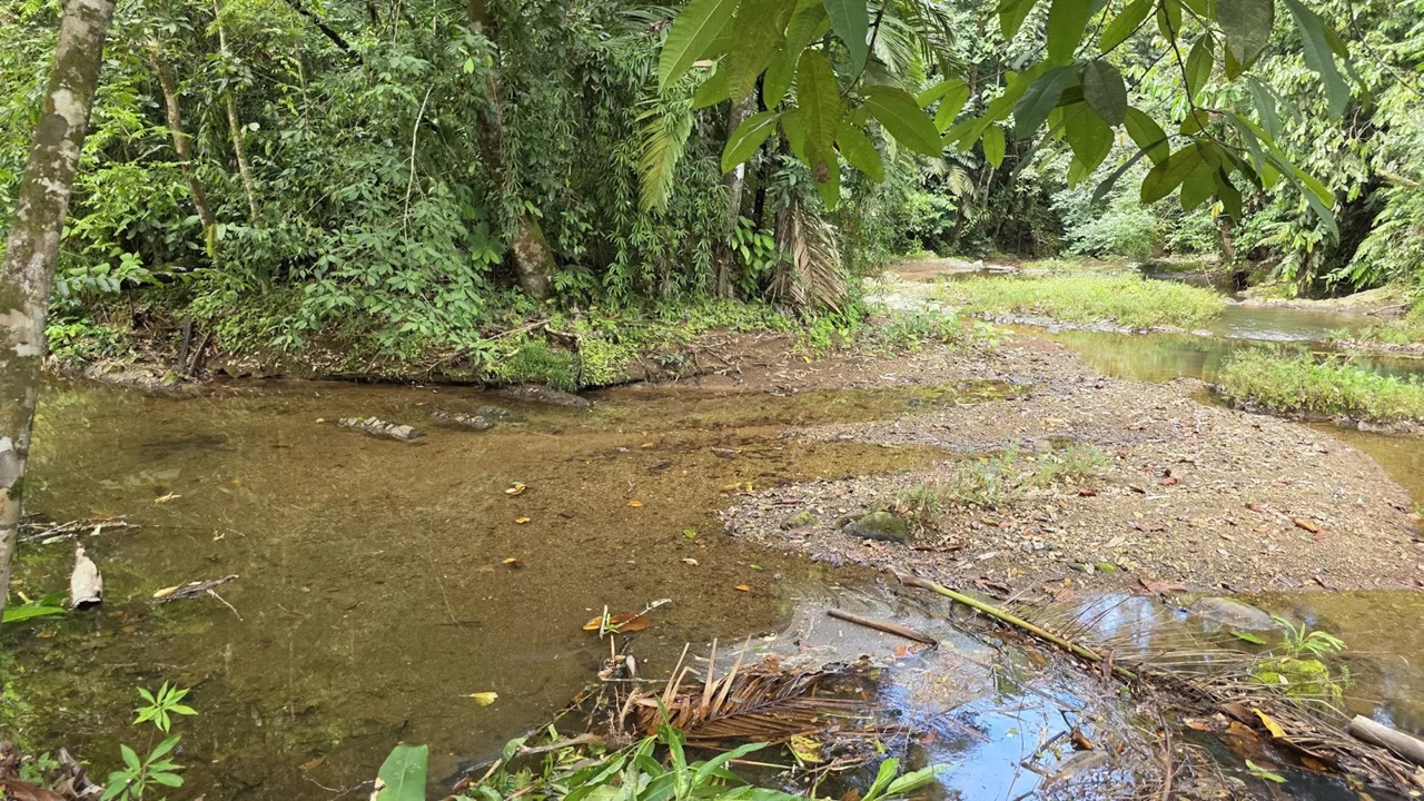 VILLA SHANTI: LUXURY JUNGLE RETREAT IN OJOCHAL, COSTA RICA – 1.17 ACRES, photo 22