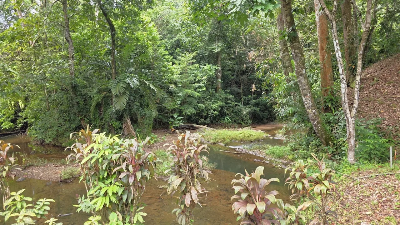 VILLA SHANTI: LUXURY JUNGLE RETREAT IN OJOCHAL, COSTA RICA – 1.17 ACRES, photo 23